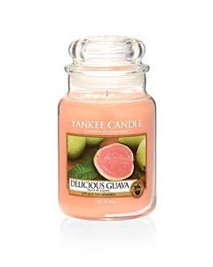 Yankee Candle Delicious Guava Large Jar