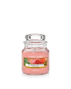 Yankee Candle Sun-Drenched Apricot Rose Small Jar
