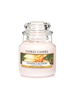 Yankee Candle Champaca Blossom Small Jar