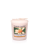 Yankee Candle Champaca Blossom Votivljus