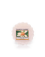 Yankee Candle Champaca Blossom Doftvax