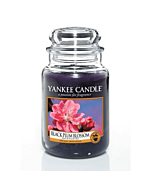 Yankee Candle Black Plum Blossom Large Jar