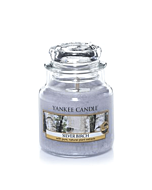 Yankee Candle Silver Birch Small Jar