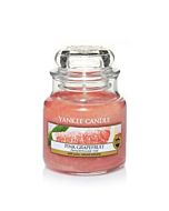 Yankee Candle Pink Grapefruit Small Jar