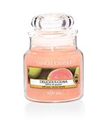Yankee Candle Delicious Guava Small Jar