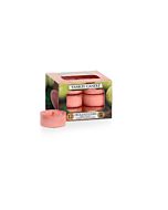 Yankee Candle Delicious Guava Tealight