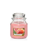 Yankee Candle Sun-Drenched Apricot Rose Medium Jar