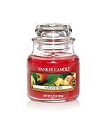Yankee Candle Macintosh Small Jar