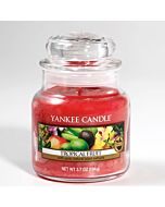 Yankee Candle Tropical Fruit Small Jar